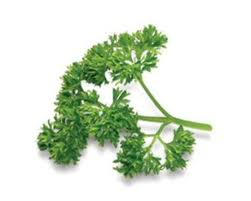 parsley