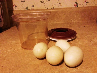eggs 1