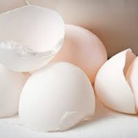 eggshells