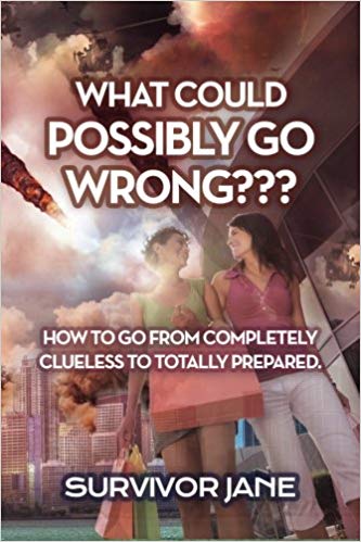 what could possibly go wrong book